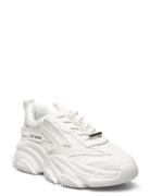 Steve Madden Possession-E Sneaker Vit