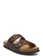 Scholl Sl Alex Leather Coffee Brun