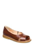 Sandals - Flat - Open Toe - Clo Platta Sandaler Brown ANGULUS