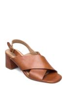 ANGULUS Sandals - Block Heels Brun