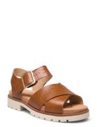 Clarks Orinoco Cross D Brun