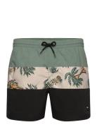 O'neill Mix & Match Cali Block 15'' Swim Shorts Blå