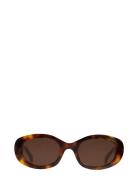 Corlin Eyewear Carpi Tortoise Brown Brun