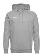Hmlgo Cotton Hoodie Sport Sweat-shirts & Hoodies Hoodies Grey Hummel