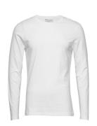 Long Sleeve Tops T-shirts Long-sleeved White Bread & Boxers