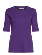 Dagnaiw T-Shirt Tops T-shirts & Tops Short-sleeved Purple InWear