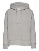Lr-Nuka Tops Sweat-shirts & Hoodies Hoodies Grey Levete Room