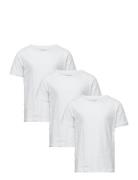 Claudio Boys 3-Pack T-Shirt Tops T-shirts Short-sleeved White Claudio