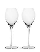 Saga Champagne Glass, 2-Pack Home Tableware Glass Champagne Glass Nude...