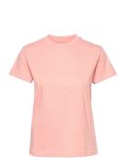 Tomorrow Casual Tomorrow Tee Rosa