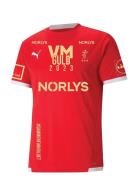 Teamliga Jersey Sport T-shirts Short-sleeved Red PUMA
