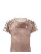 3 Strp Tee Sport T-shirts & Tops Short-sleeved Brown Adidas Originals