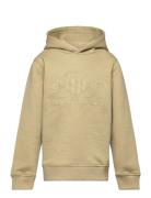 Tonal As Hoodie Tops Sweat-shirts & Hoodies Hoodies Khaki Green GANT