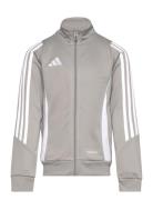 Tiro24 Trjkty Sport Sweat-shirts & Hoodies Sweat-shirts Grey Adidas Pe...