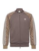 Sstr Mono Tt Sport Sweat-shirts & Hoodies Sweat-shirts Brown Adidas Or...