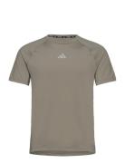 Adidas Performance Adidas Gym+ Training T-Shirt Grön