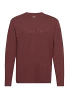 L/S Crew Neck Tops T-shirts Long-sleeved Brown Calvin Klein