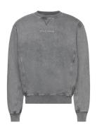 Roshon Sweater Designers Sweat-shirts & Hoodies Sweat-shirts Grey Dail...