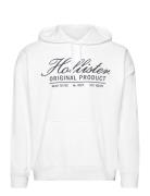 Hollister Hco. Guys Sweatshirts Vit