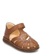 ANGULUS Sandals - Flat - Closed Toe - Brun