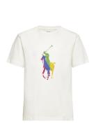 Big Pony Cotton Jersey Tee Tops T-shirts Short-sleeved White Ralph Lau...