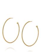 Caroline Svedbom Evita Loop Earrings Guld