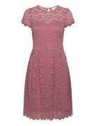 Vila Vikalila Capsleeve Lace Dress - Noos Rosa