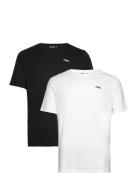 FILA Brod Tee / Double Pack Multi/patterned