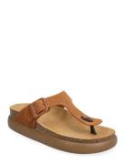 Scholl Sl Anais Chunky Suede Brun