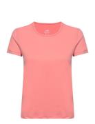 Essential Mesh Detail Tee Sport T-shirts & Tops Short-sleeved  Casall