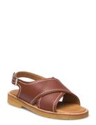 ANGULUS Sandals - Flat - Open Toe - Op Brun