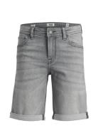 Jack & J S Jjirick Jjioriginal Shorts Mf 926 Sn Mni Grå