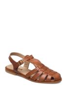 ANGULUS Sandals - Flat - Closed Toe - Op Brun