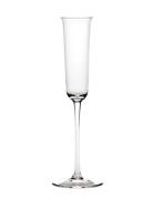 Serax Champagne Flute Grace Set/4 Nude