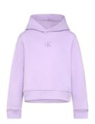 Calvin Klein Ck Logo Boxy Hoodie Lila