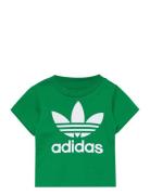 Adidas Originals Trefoil Tee Grön