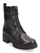 Gabor Ankle Boot Svart