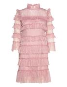 Malina Carmine Frill Mini Lace Dress Rosa