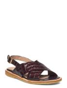 ANGULUS Sandals - Flat - Open Toe - Op Brun