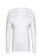 3Pk Basic Tee L/S Tops T-shirts Long-sleeved White Lindbergh