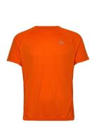 Newline Men Core Running T-Shirt S/S Orange