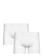 Björn Borg Premium Cotton Stretch Boxer 2P Vit