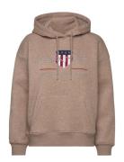 GANT Rel Archive Shield Hoodie Brun