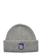 GANT Alpine Badge Beanie Grå