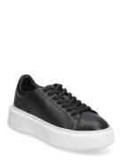 Sport Låga Sneakers Black Billi Bi