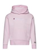 Champion Hooded Sweatshirt Rosa