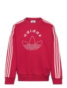 Adidas Originals Crew Röd