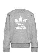 Adidas Originals Trefoil Crew Grå