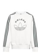 Adidas Originals Crew Vit