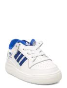 Adidas Originals Forum Low Cl El I Vit